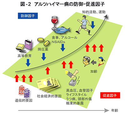 アルツハイマー病の防御・促進因子